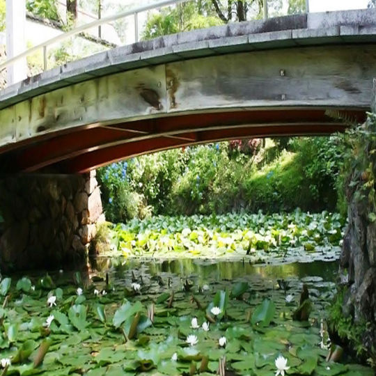 サンプルテキスト