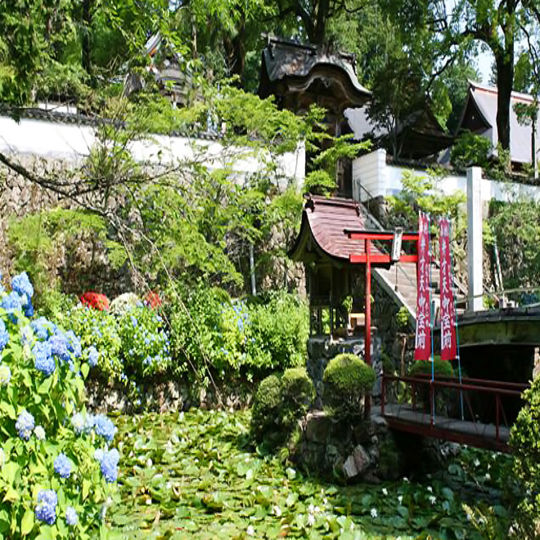 サンプルテキスト